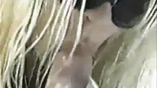 آنکھ کو پکڑنے خوبصورت ریگن فاکس فلم سکسی خارجی پھینکتا ہے کی طرف سے خوبصورت نوجوان دوست رہنے nextdoor